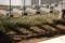 Guedber_00012