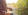 AdobeStock_312865439