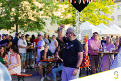 Fetedelamusique_Junglinster_web-64