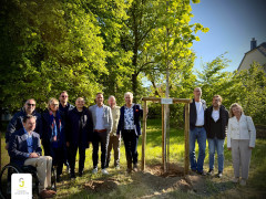 WhatsApp Image 2025-05-12 at 13.56.35