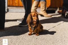 250928 Junglinster Fieste Integrale-115