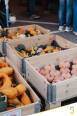 DSCF9397